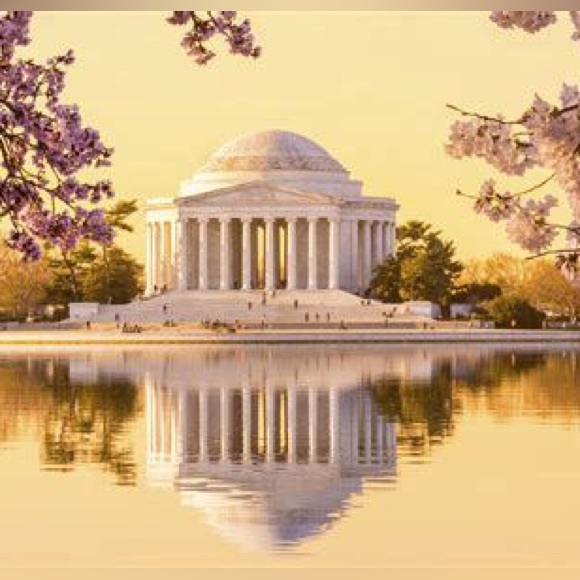 Cherry Blossom in Washington DC Top - Picture 12 of 12